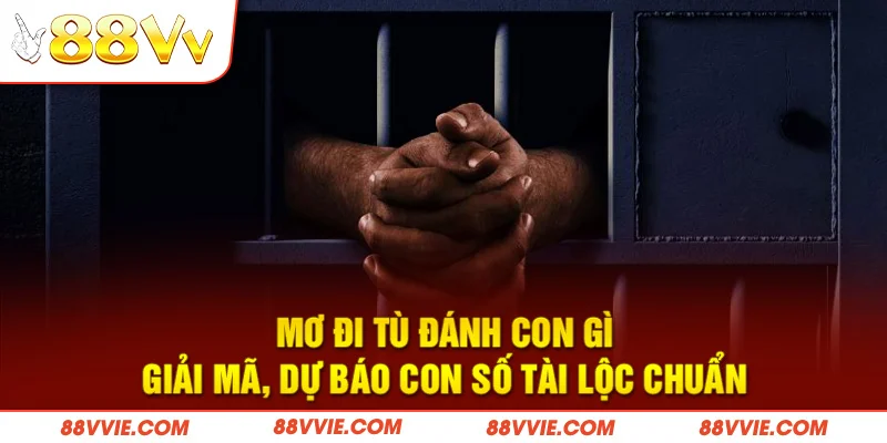 Mơ Đi Tù Đánh Con Gì - Giải Mã, Dự Báo Con Số Tài Lộc Chuẩn