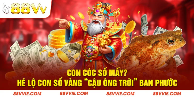 Con Cóc Số Mấy? Hé Lộ Con Số Vàng “Cậu Ông Trời” Ban Phước