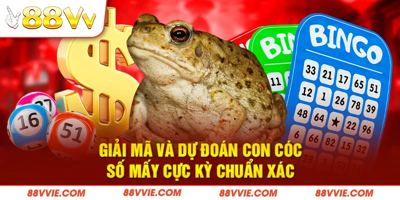 Giải mã và dự đoán con cóc số mấy cực kỳ chuẩn xác