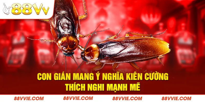 Con gián mang ý nghĩa kiên cường, thích nghi mạnh mẽ
