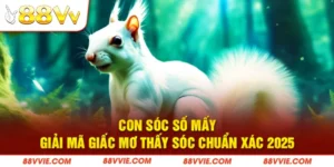 Con Sóc Số Mấy - Giải Mã Giấc Mơ Thấy Sóc Chuẩn Xác 2025