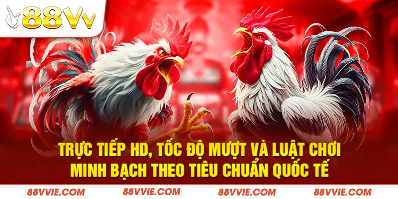 Trực tiếp HD, tốc độ mượt và luật chơi minh bạch theo tiêu chuẩn quốc tế
